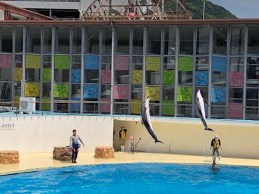 伊豆・三津シーパラダイスに投稿された画像（2022/5/5）