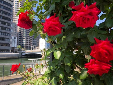 京阪電車に投稿された画像（2022/5/5）