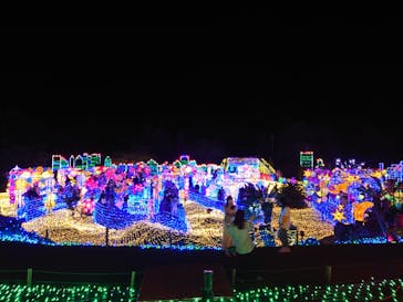 伊豆ぐらんぱる公園に投稿された画像（2022/5/5）