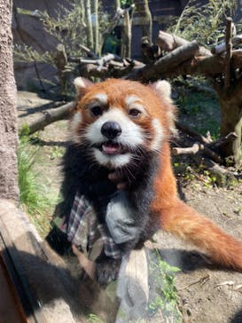 那須どうぶつ王国に投稿された画像（2022/5/5）