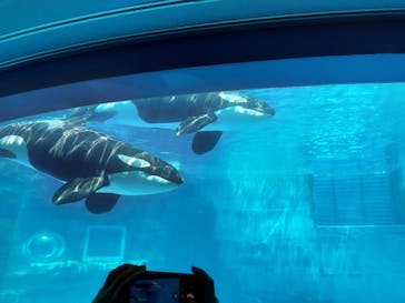 名古屋港水族館に投稿された画像（2022/5/5）