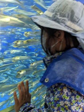 アクアワールド茨城県大洗水族館に投稿された画像（2022/5/5）