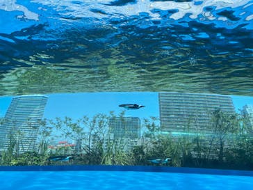 サンシャイン水族館に投稿された画像（2022/5/5）