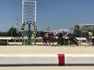 園田競馬場に投稿された画像（2022/5/5）