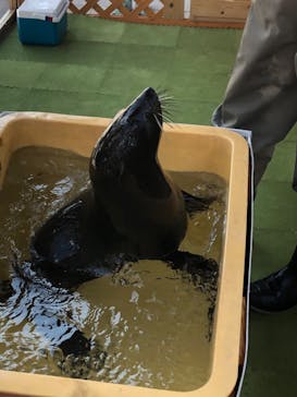 大分マリーンパレス水族館 「うみたまご」に投稿された画像（2022/5/5）