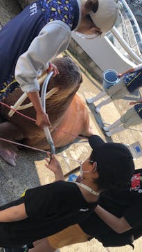 大分マリーンパレス水族館 「うみたまご」に投稿された画像（2022/5/5）