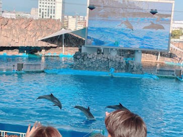 名古屋港水族館に投稿された画像（2022/5/5）