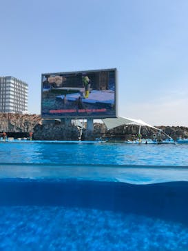 名古屋港水族館に投稿された画像（2022/5/5）
