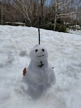 志賀高原中央エリアスキー場に投稿された画像（2022/5/5）