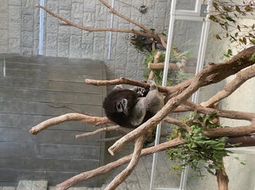 淡路ファームパーク イングランドの丘に投稿された画像（2022/5/5）