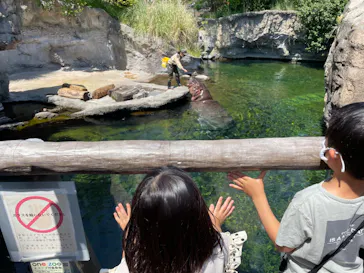 天王寺動物園に投稿された画像（2022/5/5）