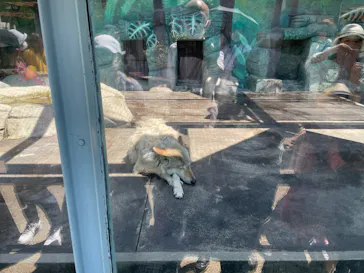 天王寺動物園に投稿された画像（2022/5/5）