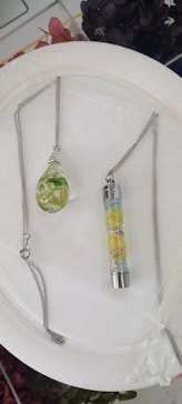 ずこうしつ〜sugamo〜に投稿された画像（2022/5/5）