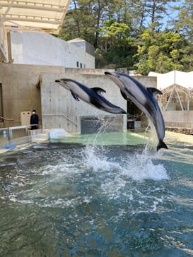 城崎マリンワールドに投稿された画像（2022/5/5）