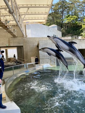 城崎マリンワールドに投稿された画像（2022/5/5）