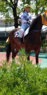 園田競馬場に投稿された画像（2022/5/5）