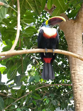 神戸どうぶつ王国に投稿された画像（2022/5/5）