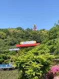 日本モンキーパークに投稿された画像（2022/5/5）