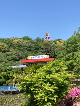 日本モンキーパークに投稿された画像（2022/5/5）