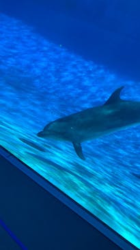 名古屋港水族館に投稿された画像（2022/5/5）