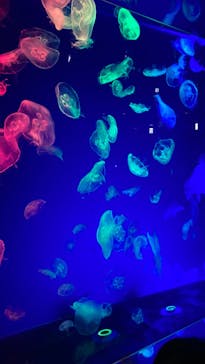 名古屋港水族館に投稿された画像（2022/5/5）