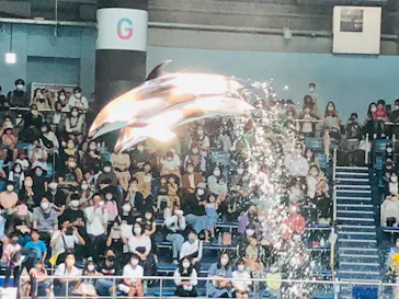 マクセル アクアパーク品川に投稿された画像（2022/5/5）