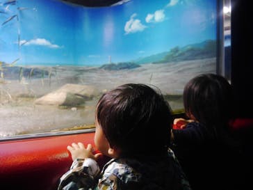 株式会社Gに投稿された画像（2022/5/5）