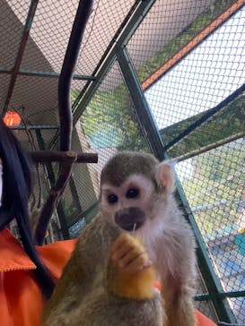 那須ワールドモンキーパークに投稿された画像（2022/5/5）