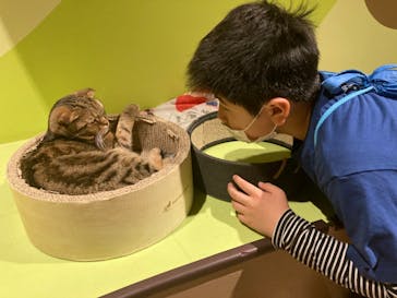 Moff animal world MARK IS みなとみらい店に投稿された画像（2022/5/5）