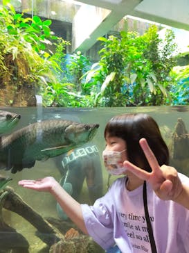 名古屋港水族館に投稿された画像（2022/5/5）