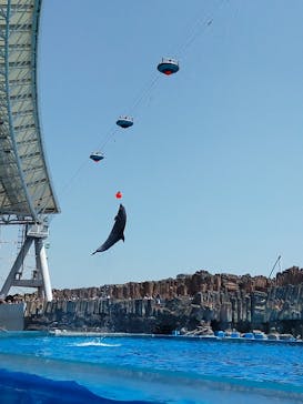 名古屋港水族館に投稿された画像（2022/5/5）