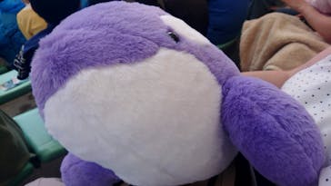 名古屋港水族館に投稿された画像（2022/5/5）