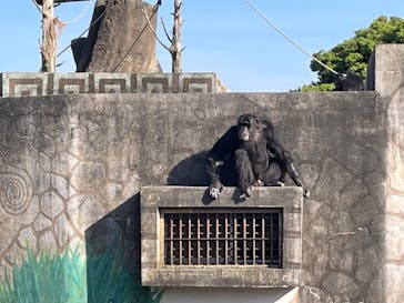 伊豆シャボテン動物公園に投稿された画像（2022/5/5）