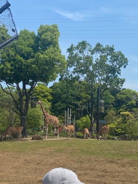 よこはま動物園ズーラシアに投稿された画像（2022/5/5）