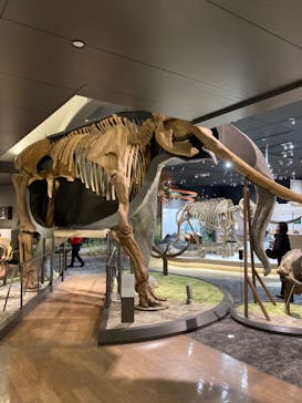 滋賀県立琵琶湖博物館に投稿された画像（2022/5/5）