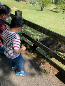 まかいの牧場に投稿された画像（2022/5/5）