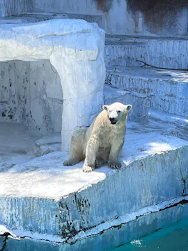 天王寺動物園に投稿された画像（2022/5/5）