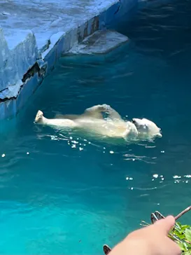 天王寺動物園に投稿された画像（2022/5/5）