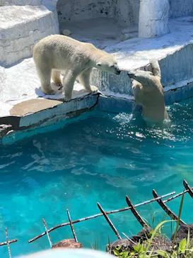 天王寺動物園に投稿された画像（2022/5/5）