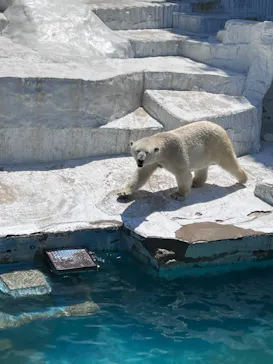 天王寺動物園に投稿された画像（2022/5/5）