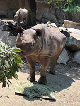 天王寺動物園に投稿された画像（2022/5/5）