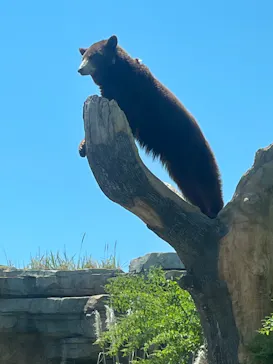 神戸どうぶつ王国に投稿された画像（2022/5/5）