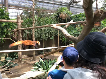 神戸どうぶつ王国に投稿された画像（2022/5/5）