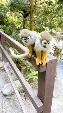 長崎バイオパークに投稿された画像（2022/5/5）