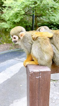 長崎バイオパークに投稿された画像（2022/5/5）