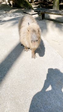 長崎バイオパークに投稿された画像（2022/5/5）