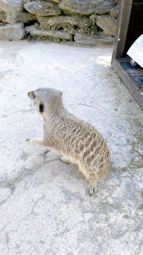 長崎バイオパークに投稿された画像（2022/5/5）