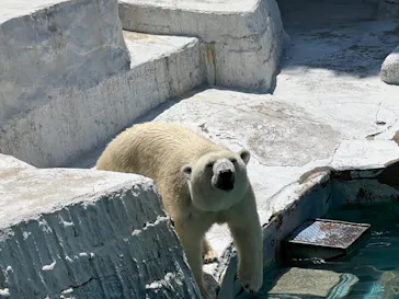 天王寺動物園に投稿された画像（2022/5/5）