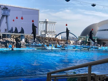 名古屋港水族館に投稿された画像（2022/5/5）