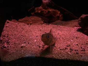 名古屋港水族館に投稿された画像（2022/5/5）